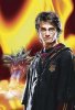 Elhalasztották a Harry Potter 6. bemutatóját!